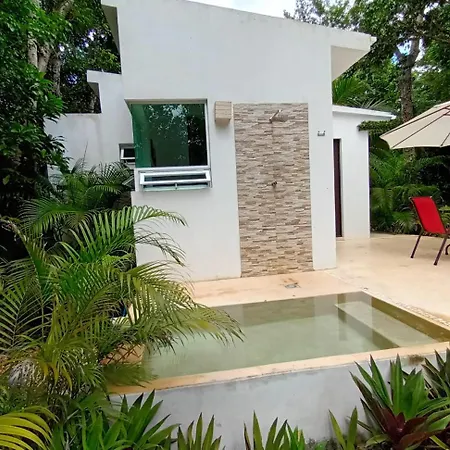 Villa Ixchel Private Pool-3